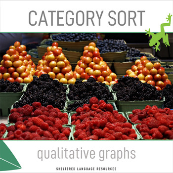 Preview of Qualitative Graphs Category Sort