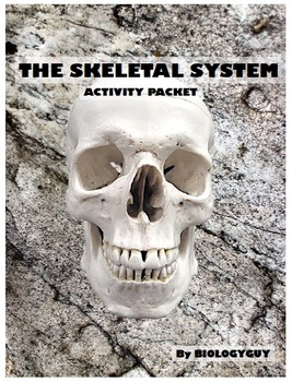 Preview of SKELETAL SYSTEM, Activity Packet