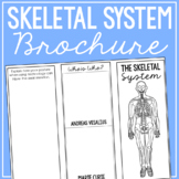 SKELETAL SYSTEM Anatomy Science Research Project | Vocabul