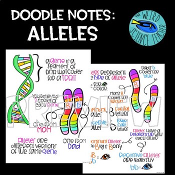 Preview of SKETCH NOTES// ANCHOR CHARTS: GENETICS AND HEREDITY: ALLELES