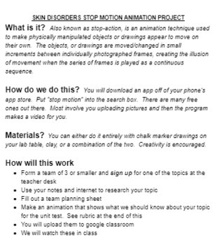 Preview of SKIN DISEASES & DISORDERS STOP MOTION ANIMATION PROJECT