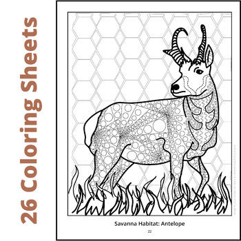 Animal Habitat Coloring Sheets - Combine Science With Art by Simple