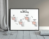 SLP 4 Phases of Swallowing Instructional Poster for Dyspha