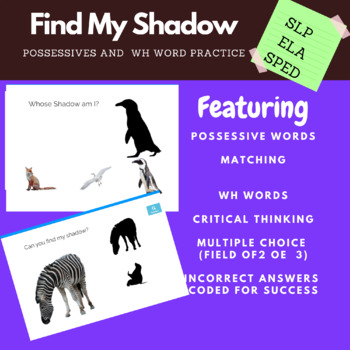 Preview of SLP SPED Find My Shadow Possessive and WH word practice for Early Elementary and