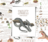 SNAKES Unit Study, Life Cycle, Anatomy, Nature Study, Science