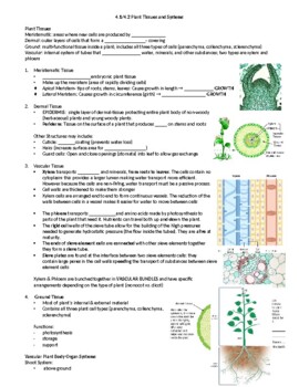 Preview of SNC2D Plant Tissues and Systems Note (Biology)