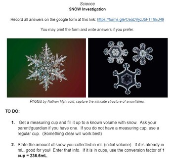 Preview of SNOW Investigation - Great for a Remote SNOW day or In-School Snowy Day