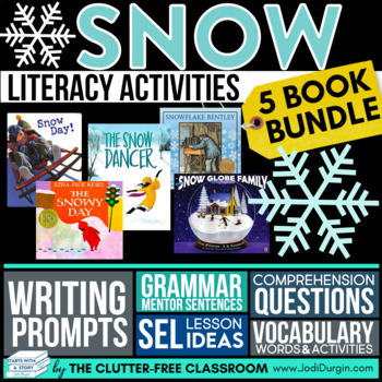 Preview of SNOW READ ALOUD ACTIVITIES reading comprehension WINTER picture book companions