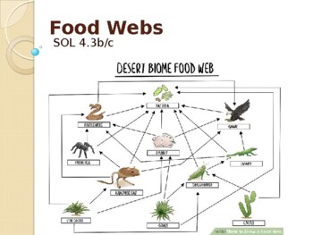 SOL 4.3b/c Food Webs/Niche (2018 Standards) by 4thGradeTchr | TPT