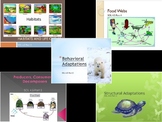 SOL 4.5: Ecosystems and Adaptations Powerpoint Bundle