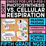 SORT Photosynthesis and Cellular Respiration - Energy for Life | 5th Grade