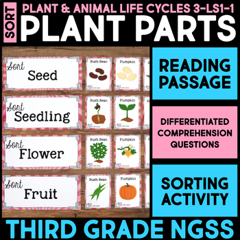 Preview of SORT Plant Life Cycle Stages - 3rd Grade NGSS Science Activity Reading Passage