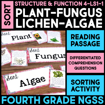 Preview of SORT Plants & Organisms into Kingdoms Structure & Function 4th Grade Science