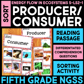 Preview of SORT Producer or Consumer - Food Webs & Ecosystem Activity 5th Grade Science