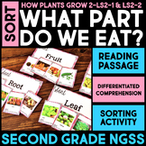 SORT - What Part of the Plant Do We Eat? - 2nd Grade NGSS 