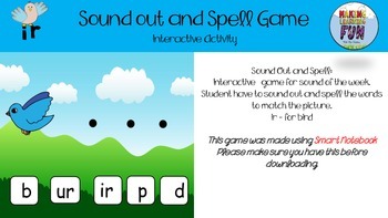 Preview of SOUND OUT AND SPELL IR FOR BIRD