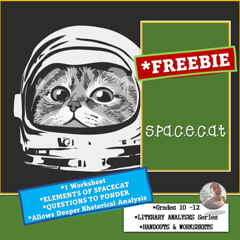 Preview of SPACECAT- RHETORICAL ANALYSIS [FREEBIE]