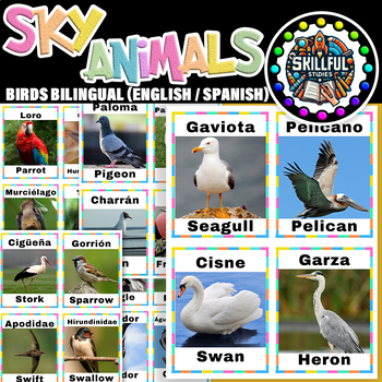 Preview of Sky Animals Birds Bilingual (English / Spanish) Flash Cards | Birds Posters