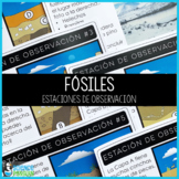 SPANISH Fossils Observation Stations {Printable and Digital}