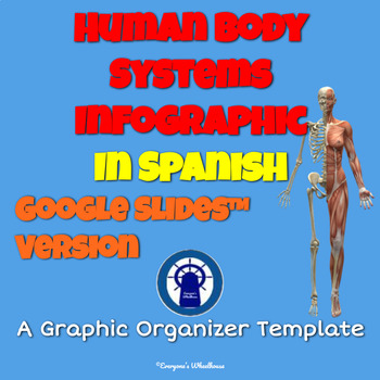 Body System Graphic Organizer Worksheets Teachers Pay Teachers