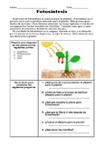 SPANISH Photosynthesis - Fotosíntesis