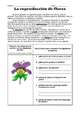 SPANISH Plant Reproduction - Reproducción de las plantas