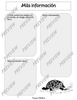 SPANISH Turtle Species Research Graphic Organizer Infographic for Google  Slides™