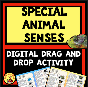 SPECIAL ANIMAL SENSES Digital Activity Drag and Drop Distance Learning