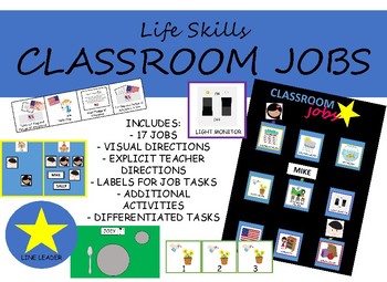 Classroom jobs for special needs students