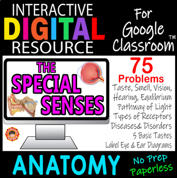 Preview of SPECIAL SENSES ~Digital Resource for Google Slides~ ANATOMY
