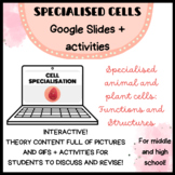 SPECIALISED CELLS: Google Slides and Activities 