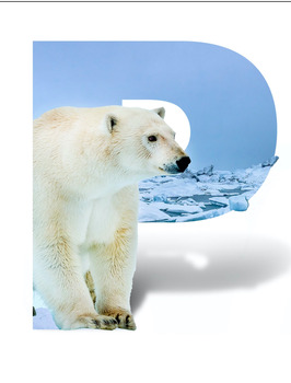 Preview of SPECIES ABC, Powerpoint - Pictures and Info. Narwhal, Polar Bear, 27 pages PP