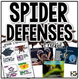 SPIDER DEFENSES  | Halloween Activity and Reading Comprehe