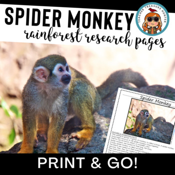 Preview of SPIDER MONKEY Research and Reading Pages Rainforest Animal Reports