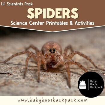 Preview of SPIDER SCIENCE! | Spider Science Printables | Spider Science Activities