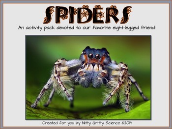 Preview of SPIDERS! - A Spider Activity Pack {Life Science - Invertebrates}