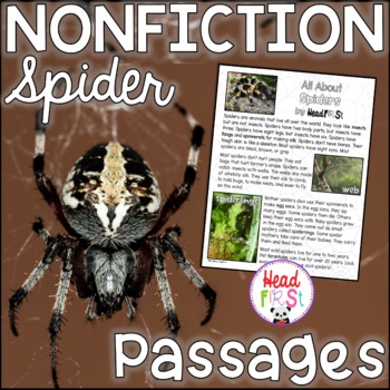 Preview of SPIDERS Passages with Comprehension Questions and Writing Activities NO PREP