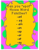 SPOT the "Word Families!" Gr K-1 (2 letter word families a