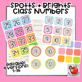 SPOTTS & BRIGHTS Class Number Labels (Mailbox, Magnets, Cu