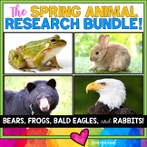 SPRING Animal Research Bundle! Bald Eagles , Bears , Rabbi