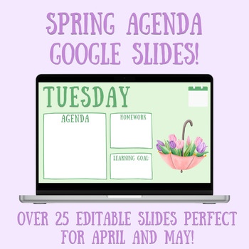 Preview of SPRING April May Editable Daily Agenda Google Slides Templates