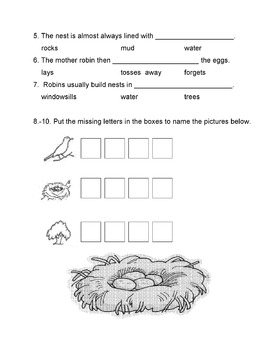 Preview of SPRING BIRDS ROBINS Informational Paragraph + 10 Literal Comprehension Questions