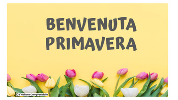 Preview of SPRING BREAK: Sentence Starters in Italian to talk about Spring Break-PRIMAVERA