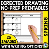 SPRING DIRECTED DRAWING STEP BY STEP WORKSHEET MAY WRITING