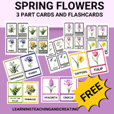 SPRING FLOWERS 3 PART CADS AND FLASHCARDS FOR PRESCHOOL