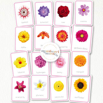 SPRING FLOWERS Flash Cards | Montessori Inspired Resource with Real ...
