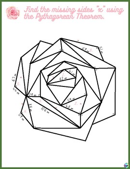 Preview of SPRING FREEBIE! Pythagorean Theorem inside a plant | Middle to High School Math
