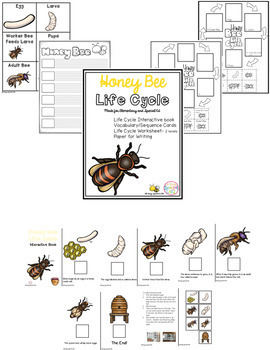 Life Cycle BUNDLE - Plant, Butterfly, Frog and Bee interactive | TpT