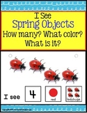 SPRING OBJECTS Build A Sentence with Pictures for Autism/S