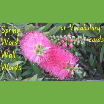 Preview of SPRING WORD WALL WORDS OR VOCABULARY CARDS